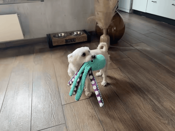 ביקורת (בובת תמנון של שימיז) 1